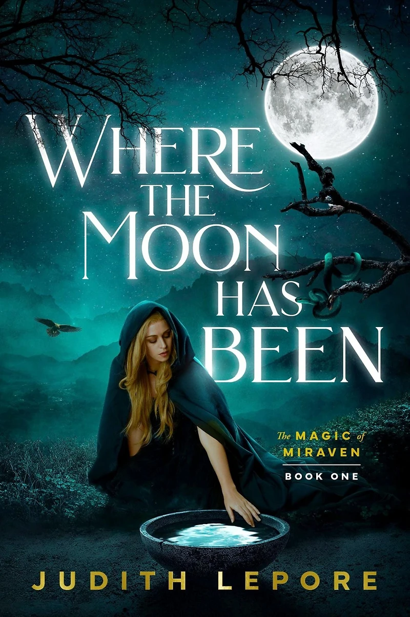 Where the Moon Has Been