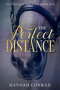 The Perfect Distance