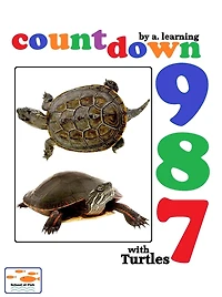 Countdown with turtles