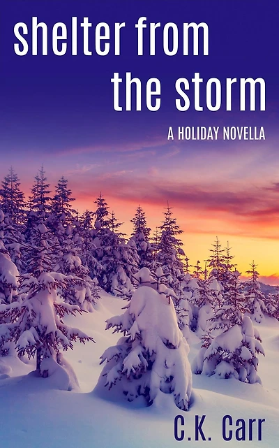 Shelter from the Storm: A Holiday Novella