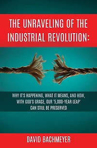 The Unraveling of the Industrial Revolution