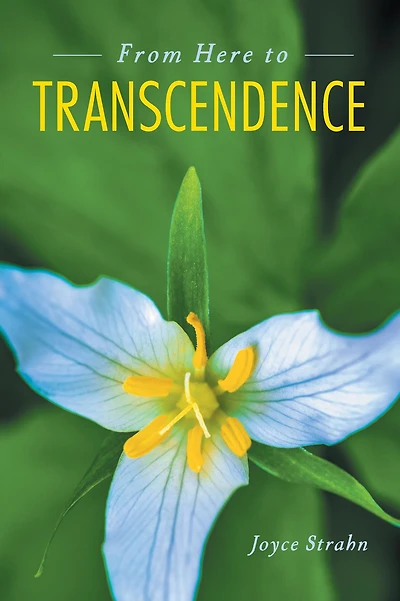 From Here to Transcendence