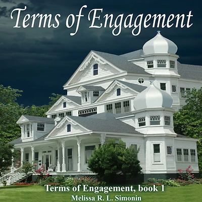 Terms of Engagement