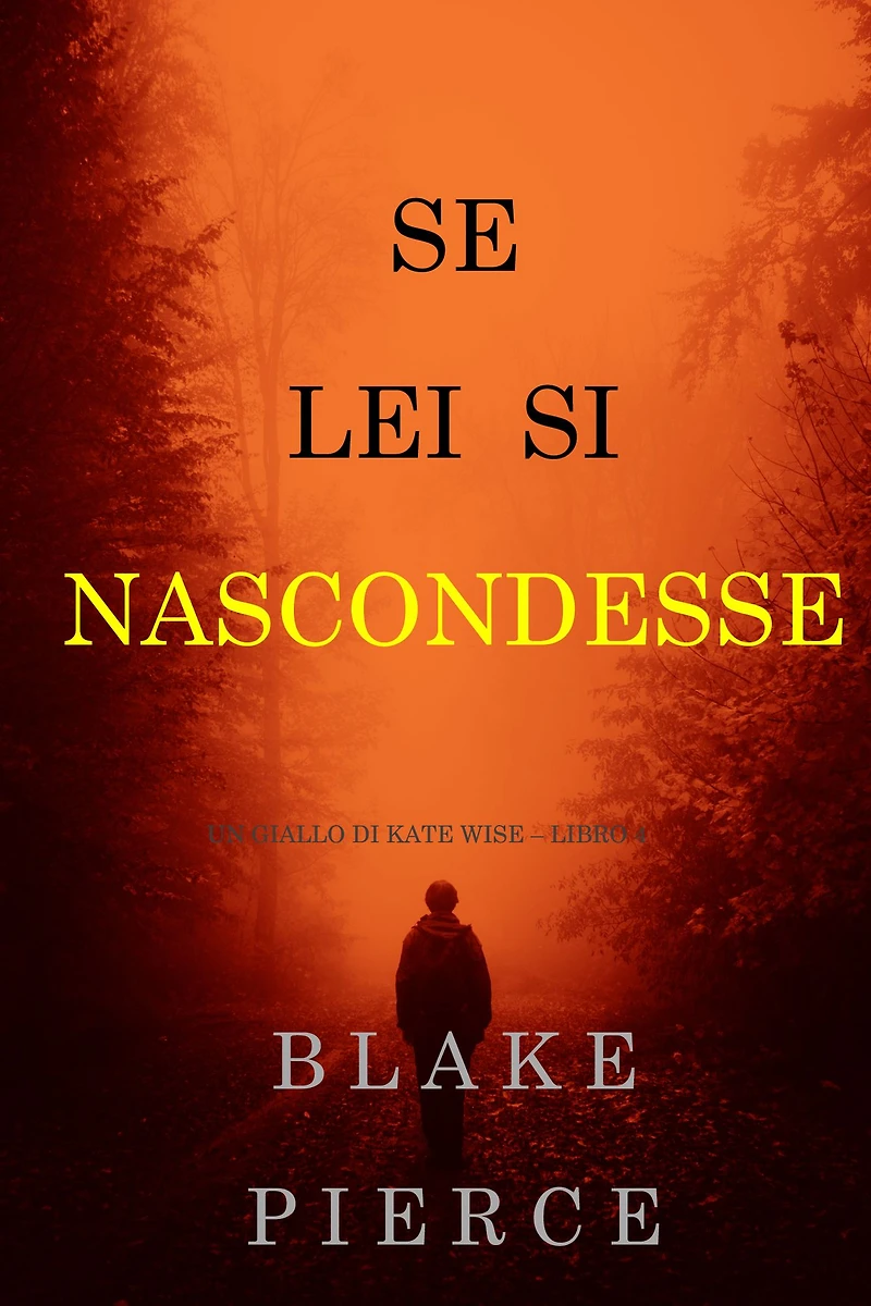 Se lei si nascondesse (Un giallo di Kate Wise - Libro 4)
