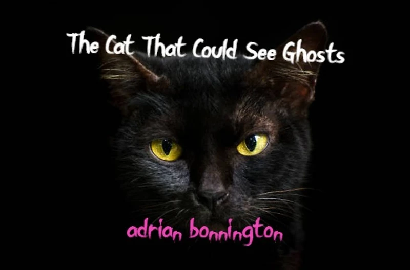 The Cat That Could See Ghosts