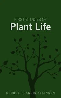 First Studies of Plant Life