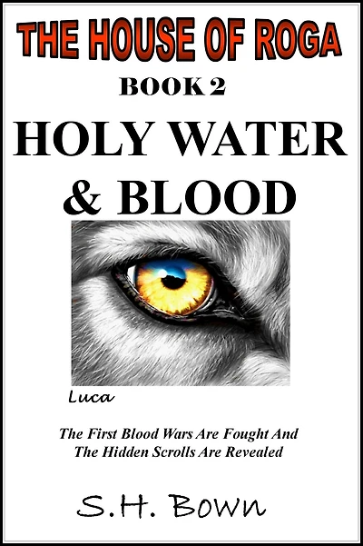 The House of Roga - Book 2: Holy Water & Blood