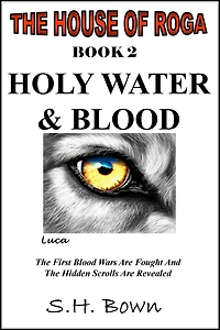 The House of Roga - Book 2: Holy Water & Blood