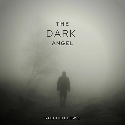 the dark angel