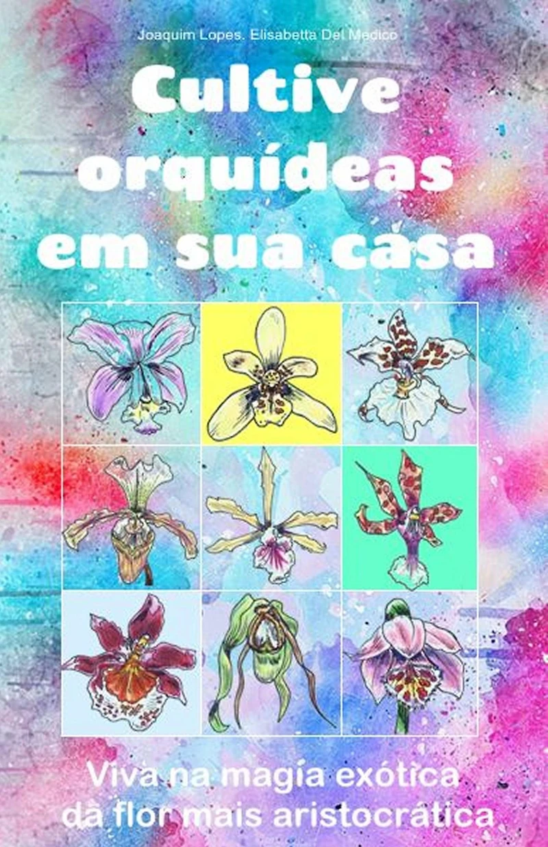 Cultive orquideas em sua casa
