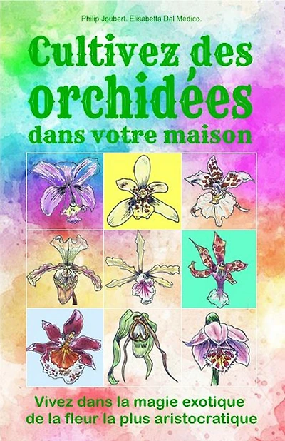 Cultivez des orchidees dans votre maison
