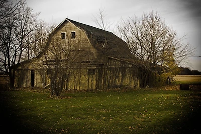 The Barn