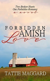 Forbidden Amish Love