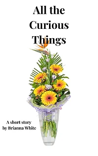 All the Curious Things