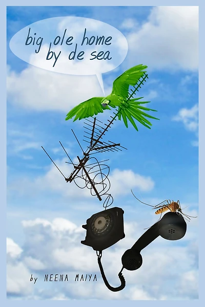 Big Ole Home By De Sea