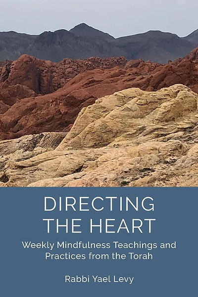 Directing the Heart: Weekly Mindfulness Teachings and Practices from Torah