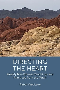 Directing the Heart: Weekly Mindfulness Teachings and Practices from Torah
