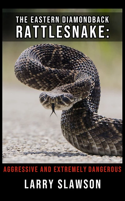 The Eastern Diamondback Rattlesnake: Aggressive and Extremely Dangerous
