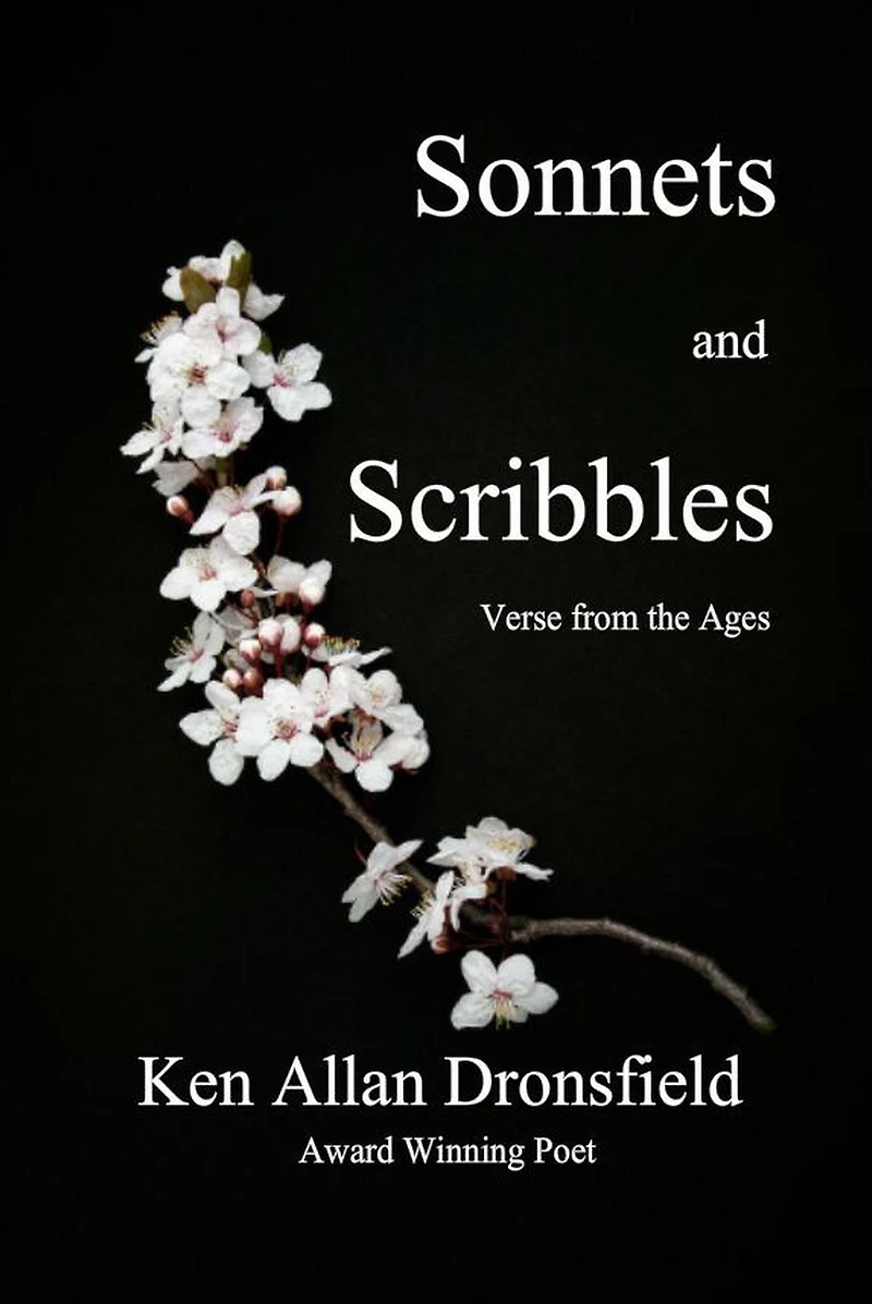 Sonnets and Scribbles