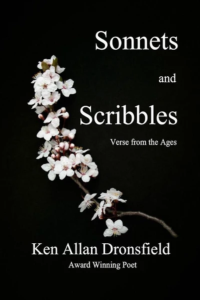 Sonnets and Scribbles