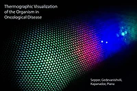 Thermographic Visualization of the Organism in Oncological Disease