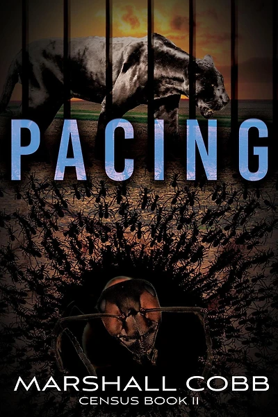 Pacing (Census, #2)