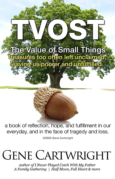 TVOST. The Value of Small Things