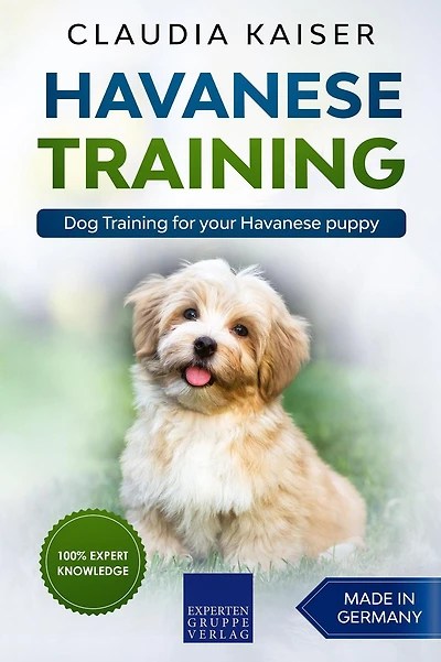 Havanese Training: Dog Training for Your Puppy
