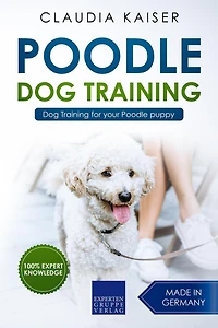 Poodle Training - Dog for your puppy