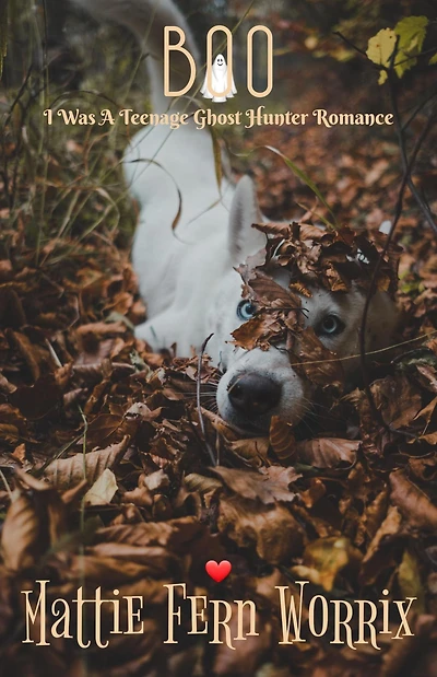 Boo (I Was A Teenage Ghost Hunter Romance, #3)