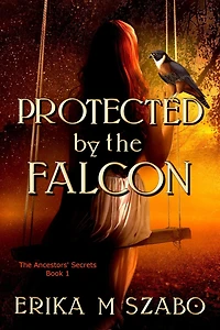 Protected By The Falcon