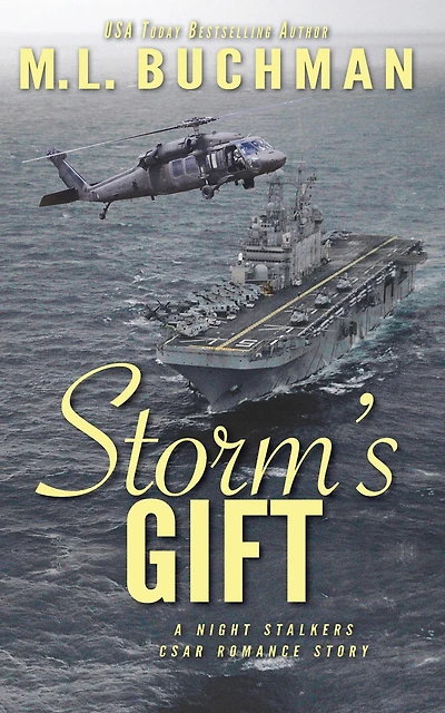 Storm's Gift: a military romantic suspense story (The Night Stalkers CSAR, #9)