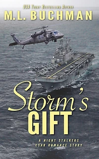 Storm's Gift: a military romantic suspense story (The Night Stalkers CSAR, #9)