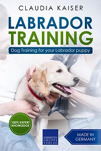 Labrador Training: Dog Training for Your Puppy