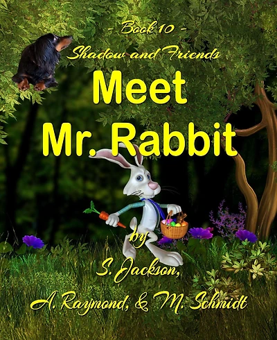 Shadow and Friends Meet Mr. Rabbit