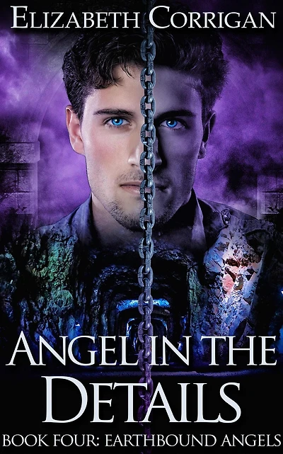 Angel the Details (Earthbound Angels, #4)