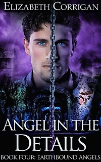 Angel the Details (Earthbound Angels, #4)
