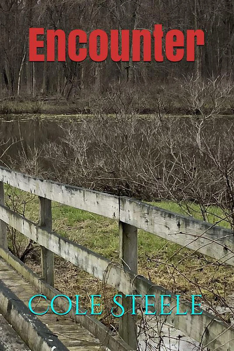 Encounter (Willow Darby, #4)