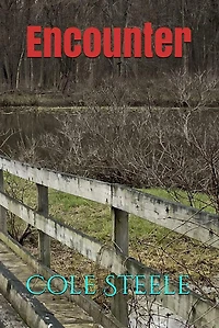 Encounter (Willow Darby, #4)