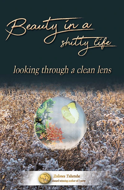 Beauty In A Shitty Life: Looking Through A Clean Lens