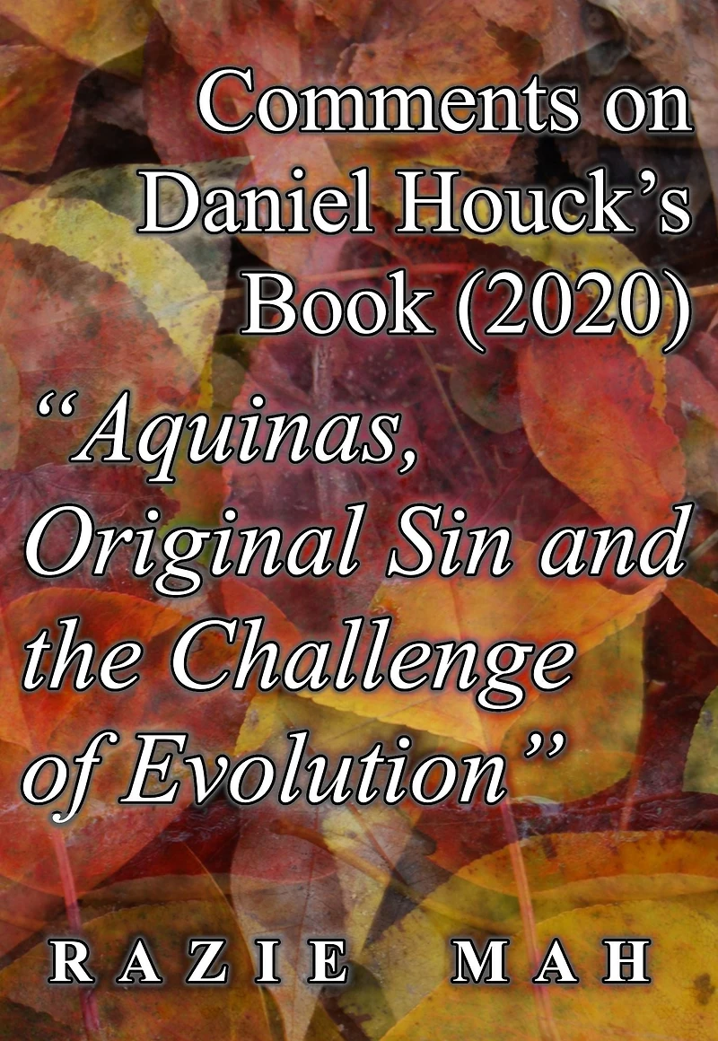 Comments on Daniel Houck's Book (2020) "Aquinas, Original Sin And The Challenge Of Evolution" (Reverberations of the Fall, #4)