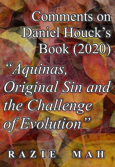 Comments on Daniel Houck's Book (2020) "Aquinas, Original Sin And The Challenge Of Evolution" (Reverberations of the Fall, #4)