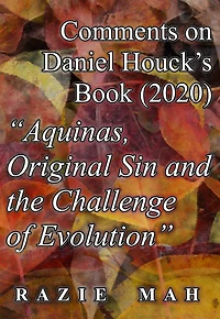 Comments on Daniel Houck's Book (2020) "Aquinas, Original Sin And The Challenge Of Evolution" (Reverberations of the Fall, #4)
