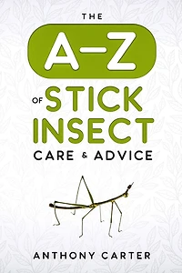 The A-Z of Stick Insect Care & Advice