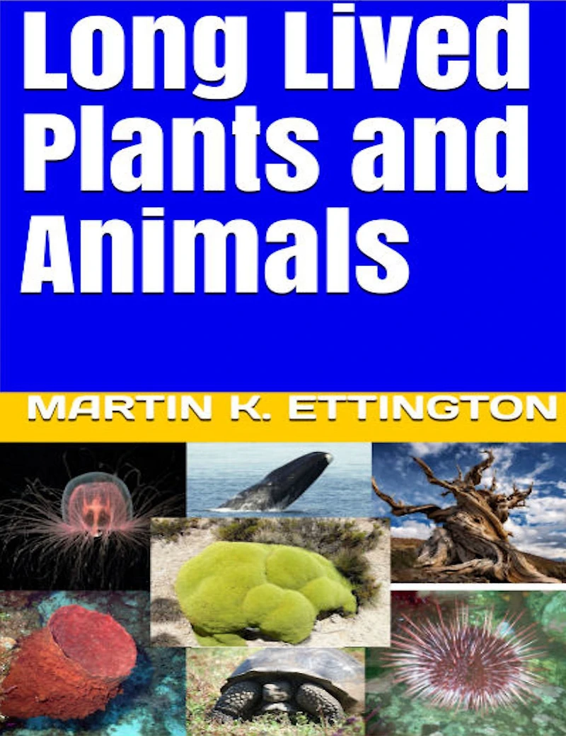 Long Lived Plants and Animals