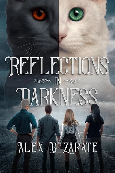 Reflections Darkness (Connections, #2)
