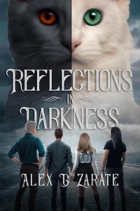 Reflections Darkness (Connections, #2)