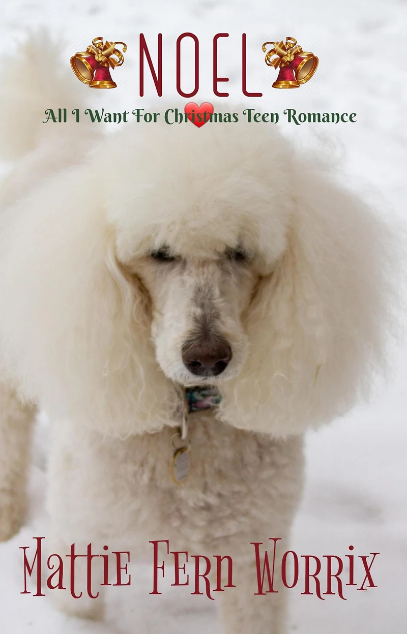 Noel (All I Want For Christmas Teen Romance, #3)