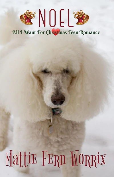 Noel (All I Want For Christmas Teen Romance, #3)