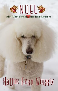 Noel (All I Want For Christmas Teen Romance, #3)